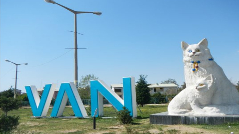 موزه وان موزه وان