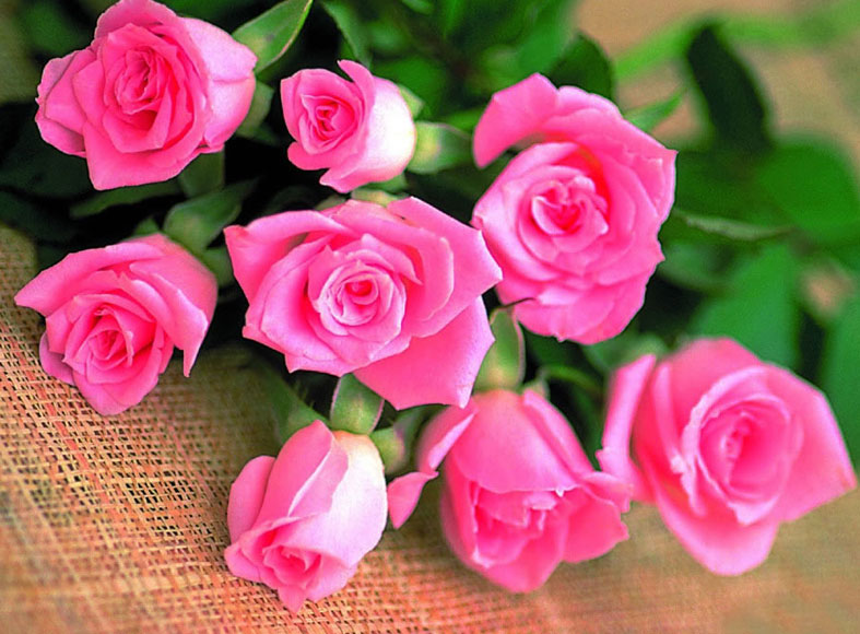 روز مادر و زن بر همه بانوان ایرانی گرامی باد.