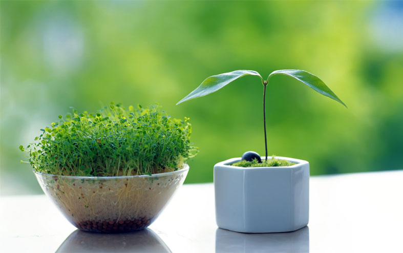 تعطیلات نوروز به کجا سفر کنیم؟ سفرهای نوروزی اتوبوسی (قسمت اول)  تعطیلات نوروز به کجا سفر کنیم؟ سفرهای نوروزی اتوبوسی (قسمت اول)