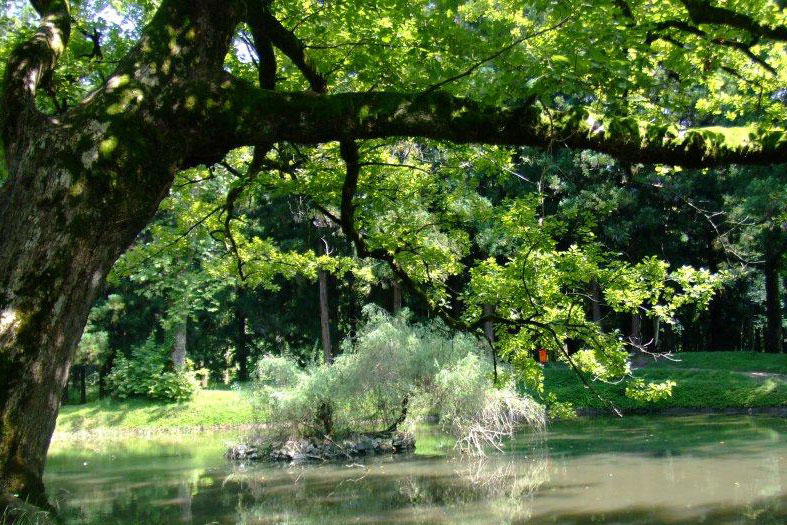 باغ های بوتانیکال