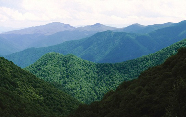  پارک ملی شیکاهو 