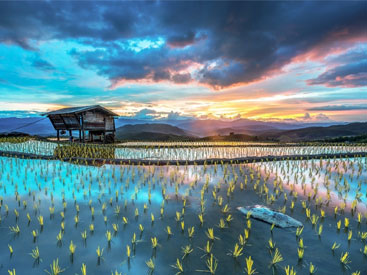 گیلان را بیشتر بشناسیم! گیلان را بیشتر بشناسیم!