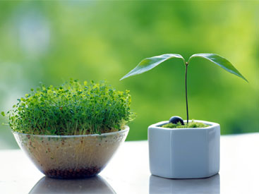 تعطیلات نوروز به کجا سفر کنیم؟ سفرهای نوروزی اتوبوسی (قسمت اول)  تعطیلات نوروز به کجا سفر کنیم؟ سفرهای نوروزی اتوبوسی (قسمت اول)