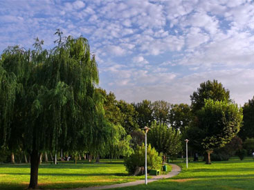 پارک لاله؛ خاطره سازترین پارک تهران