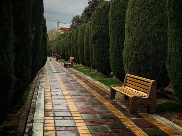 پارک ساعی؛ تفریح و آموزش باهم