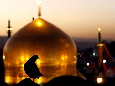 مشهد! انتخاب اول سفر در ایام شهادت پیامبر اکرم (ص) و امام رضا (ع) 