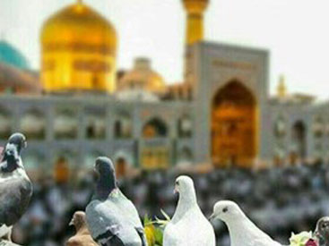 فروش بلیط اتوبوس مشهد، ویژه ی ایام ۲۸ صفر فروش بلیط اتوبوس مشهد، ویژه ی ایام ۲۸ صفر