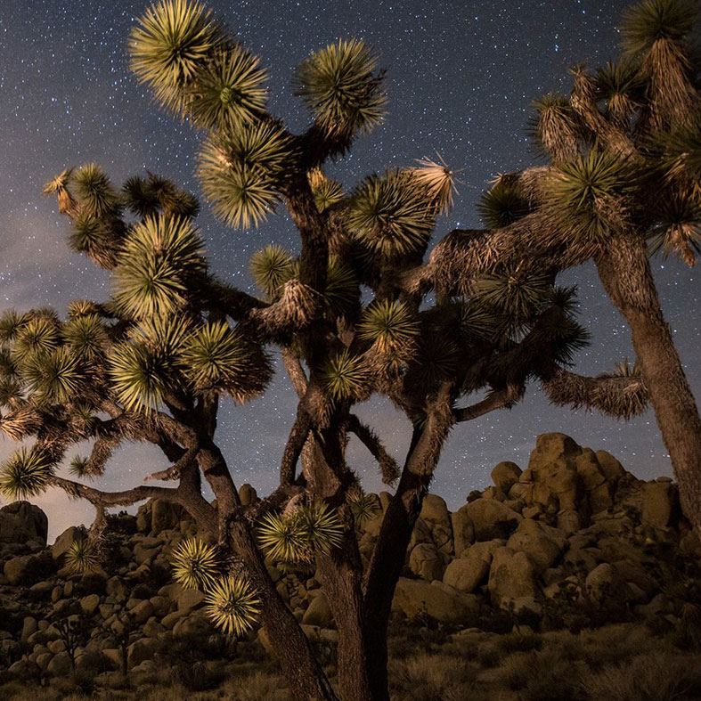 14 مکان فراواقعی در آمریکا که حتی محلی ها هم از آن خبر ندارند!