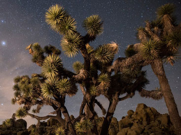 14 مکان فراواقعی در آمریکا که حتی محلی ها هم از آن خبر ندارند!